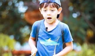 中法混血儿 中法混血儿