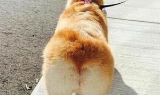 最短的距离是圆