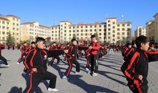 登封嵩山少林武术学校正规吗 嵩山少林寺武术学院