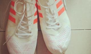 世界上800米跑得最快的人 世界田径800米最好成绩前十名